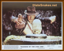 The IHateSnakes.com Collection - #0137