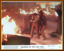 The IHateSnakes.com Collection - #0137