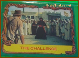 The IHateSnakes.com Collection - #0861